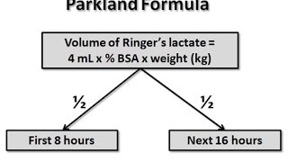 Parkland Formula for Burns [upl. by Aznarepse]