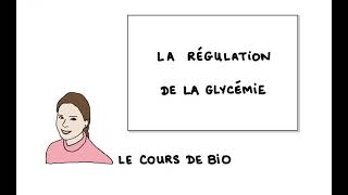 La régulation de la glycémie [upl. by Eiser305]