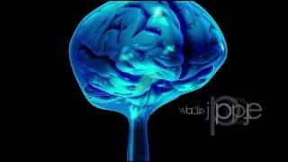 Neuroanatomy The Cerebrospinal Fluid CSF [upl. by Hayse]