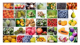 100 Names of Fruits in English  Fruits Name English Learning  Popular Fruits of the World [upl. by Eednil]