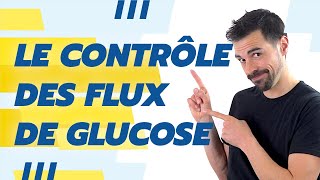 COURS DE TERMINALE SPÉCIALITÉ SVT CHAP18 LE CONTRÔLE DES FLUX DE GLUCOSE Bio Logique [upl. by Dare]