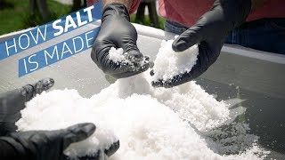 Where Does Salt Come From — How to Make It [upl. by Silenay]