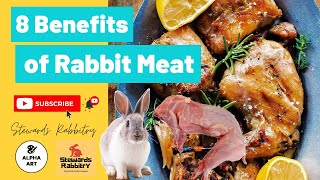 8 Benefits of Eating Rabbit Meat [upl. by Ellyn]