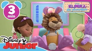 Klinika dla pluszaków  Lew Stasiek Oglądaj w Disney Junior [upl. by Ahsi]