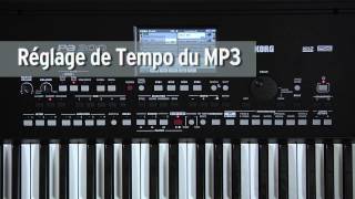 KORG PA300  le nouvel arrangeur compact et surpuissant  La Boite Noire [upl. by Euqram]