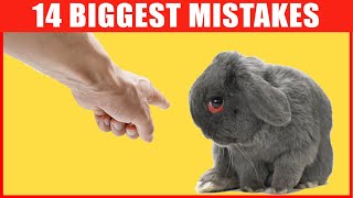 14 Common Mistakes Rabbit Owners Make [upl. by Hsiwhem]