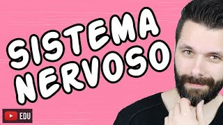 SISTEMA NERVOSO  FISIOLOGIA  Aula  Biologia com Samuel Cunha [upl. by Anreval]