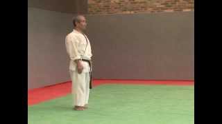 5 Pinan Godan Wado Ryu [upl. by Jerry89]