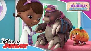 Klinika dla pluszaków  7 najlepszych akcji ratunkowych Dosi  Disney Junior Polska [upl. by Haleeuqa325]