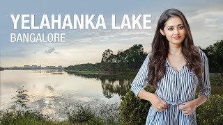 Yelahanka Lake Serene Getaway in Bangalore [upl. by Yffat]