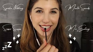 Frivolous Fox ASMR 1 Hour Nibbling Compilation  Tingly Mouth Sounds Spoolie Mic Eating Snipps [upl. by Weisbrodt]