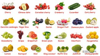 Fruit Names in English [upl. by Veno]