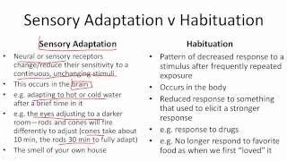 Vestibular Habituation exercises CawthorneCooksey Exercises [upl. by Nairrad]