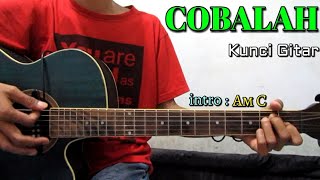 HIJAU DAUN  COBALAH KUNCI GITARBy Tokey tky [upl. by Happy]