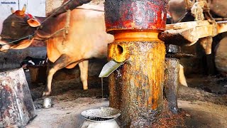 Traditional Mustard Oil Making Process [upl. by Ardnuat]