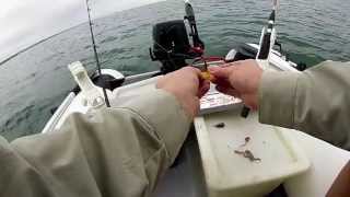 Fishing from Inflatable Dinghy part 1 [upl. by Marve]