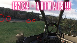 Finding ANIMALS in MSFS2024 [upl. by Sac977]