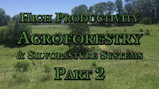 High Productivity Agroforestry amp Silvopasture Systems with Geoffrey Steen Part 2 [upl. by Pardew]