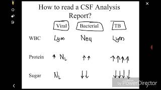 How to read CSF analysis report [upl. by Scurlock]