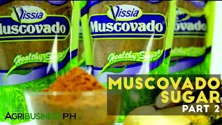 How to extract sugar cane  Muscovado sugar Part 2 Agriculture [upl. by Hoashis]