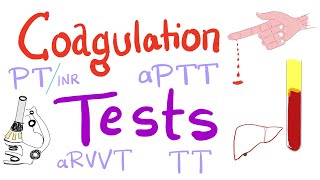 Coagulation Tests  PT aPTT TT Fibrinogen Mixing Studies [upl. by Atiseret964]