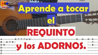 Wendolyne  La Rondalla de Saltillo  Tutorial guitarra  REQUINTO Y ADORNOS [upl. by Herrle]