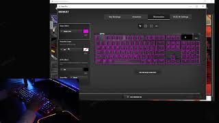 Apex Pro Keyboard how to setup your RGB lighting [upl. by Nnyllatsyrc]