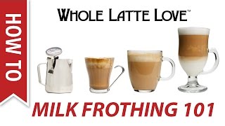 Milk Frothing for Beginners [upl. by Orhtej]