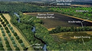 Agroforestry Ecosystem Services and Wildlife Habitat [upl. by Kentiggerma419]