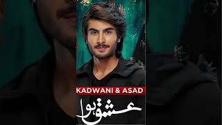 Top 10 Haroon Kadwani Dramas That Won Our Hearts [upl. by Yliram842]