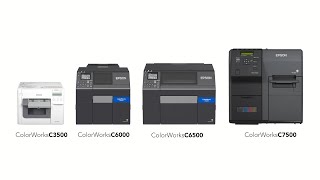 Colorworks Epson  Impresoras de etiquetas C6000 C6500 usos y aplicaciones [upl. by Yrome]