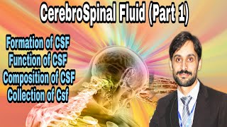 Cerebrospinal fluid  Part1 FormationFunctionComposition amp Collection [upl. by Dowdell]