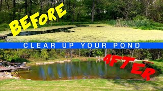 How To Clear Up Your Pond Water [upl. by Tneicniv]