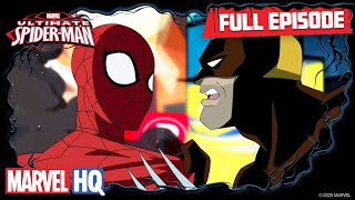 Freaky  Ultimate SpiderMan S1 E10  Full Episode [upl. by Welles248]