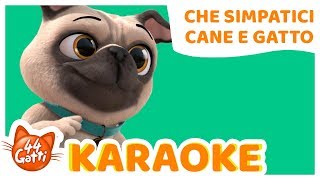 44GattiIT  Canzone quotChe simpatici Cane e Gattoquot KARAOKE [upl. by Yarased]