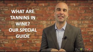 What Are Tannins in Wine Our Special Guide [upl. by Akiam749]