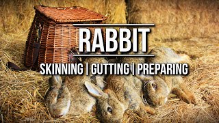 How to skin a Rabbit  TA Outdoors [upl. by Disario]