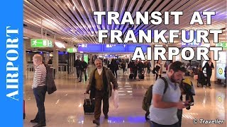 TRANSIT WALK AT FRANKFURT Airport FRA Terminal 1  Connection Flight Transfer Arriving amp Departing [upl. by Acimehs]