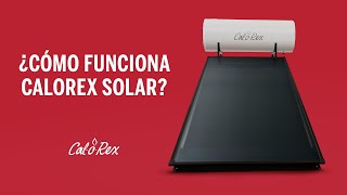 ¿Cómo funciona el calentador Calorex Solar [upl. by Akelam312]