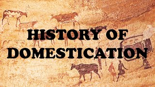 History Of Domestication [upl. by Ertha466]