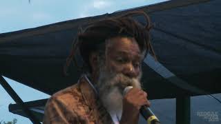 Don Carlos Live at Reggae on the River™ 2015 FULL SET [upl. by Eiznikcm]